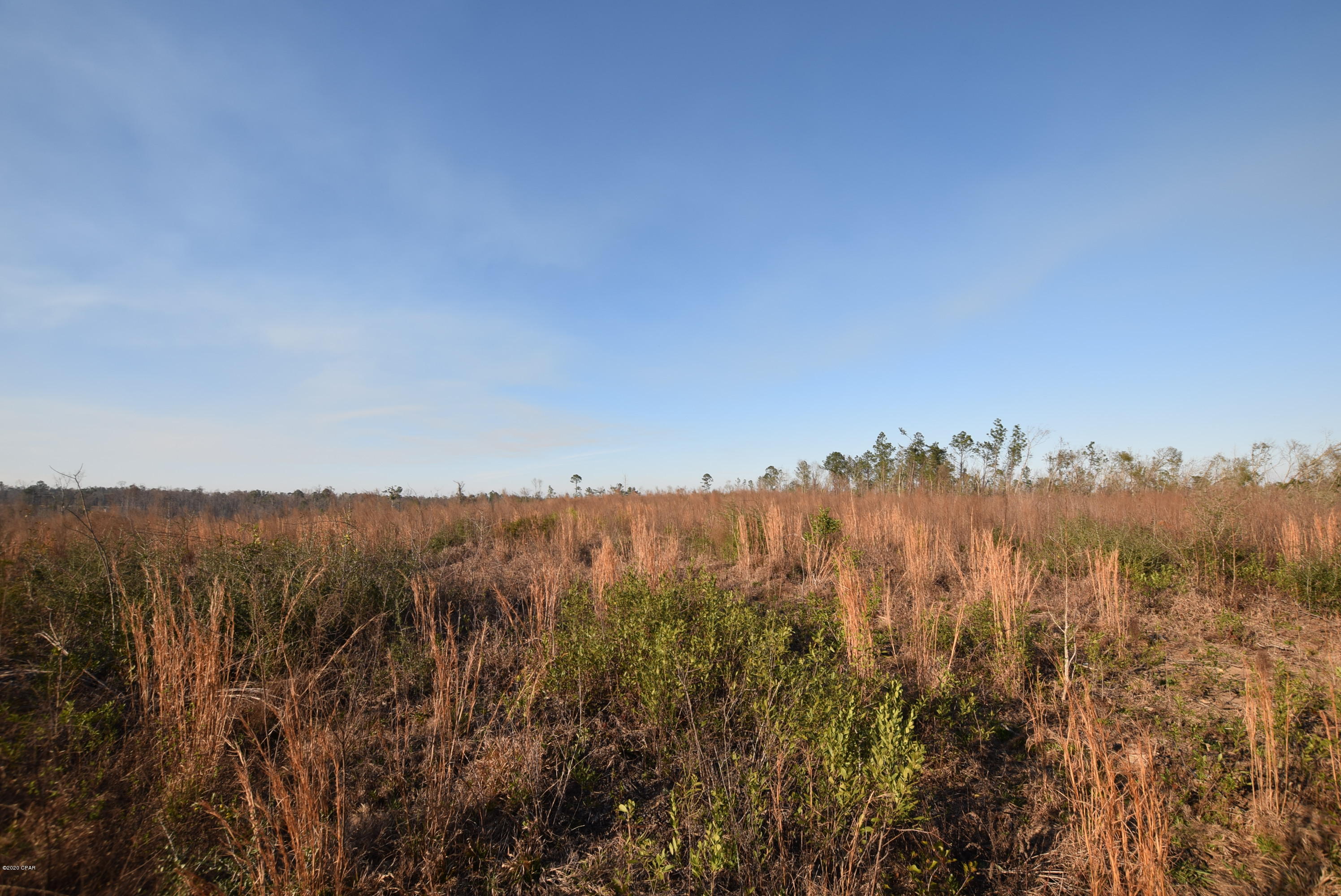 1416 Mill Road Alford, FL 32420 - Photo 46 of 60