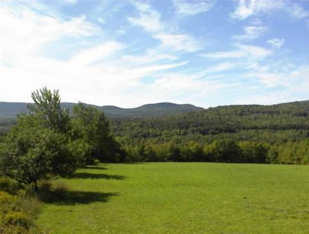 726 Bates Hollow Road Rensselaerville, NY 12469 - Photo 4 of 4 Photo 4