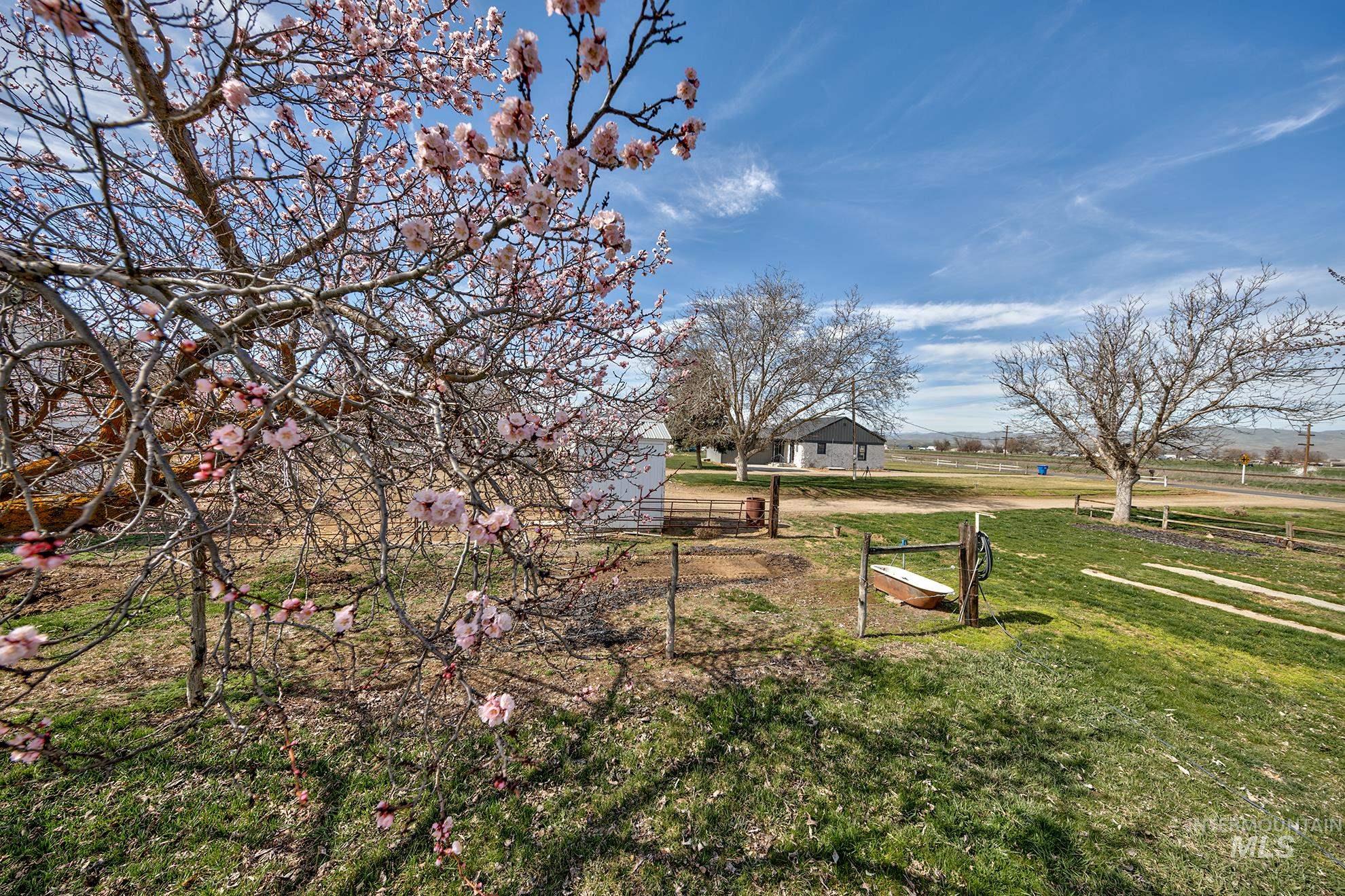 1009 County Road 70 Weiser, ID 83672 - Photo 22 of 48 View of yard