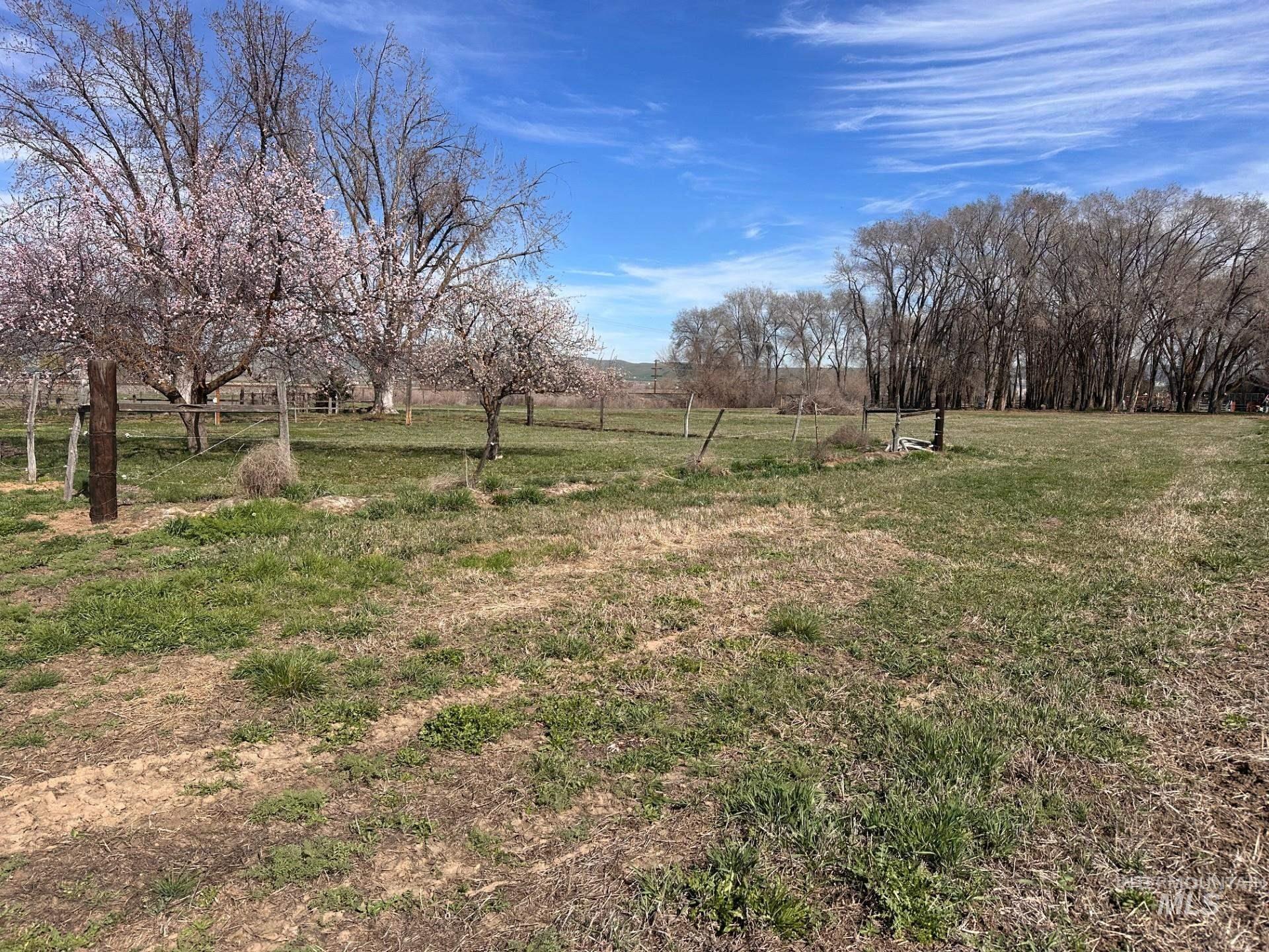 1009 County Road 70 Weiser, ID 83672 - Photo 25 of 48 View of yard with a view of countryside