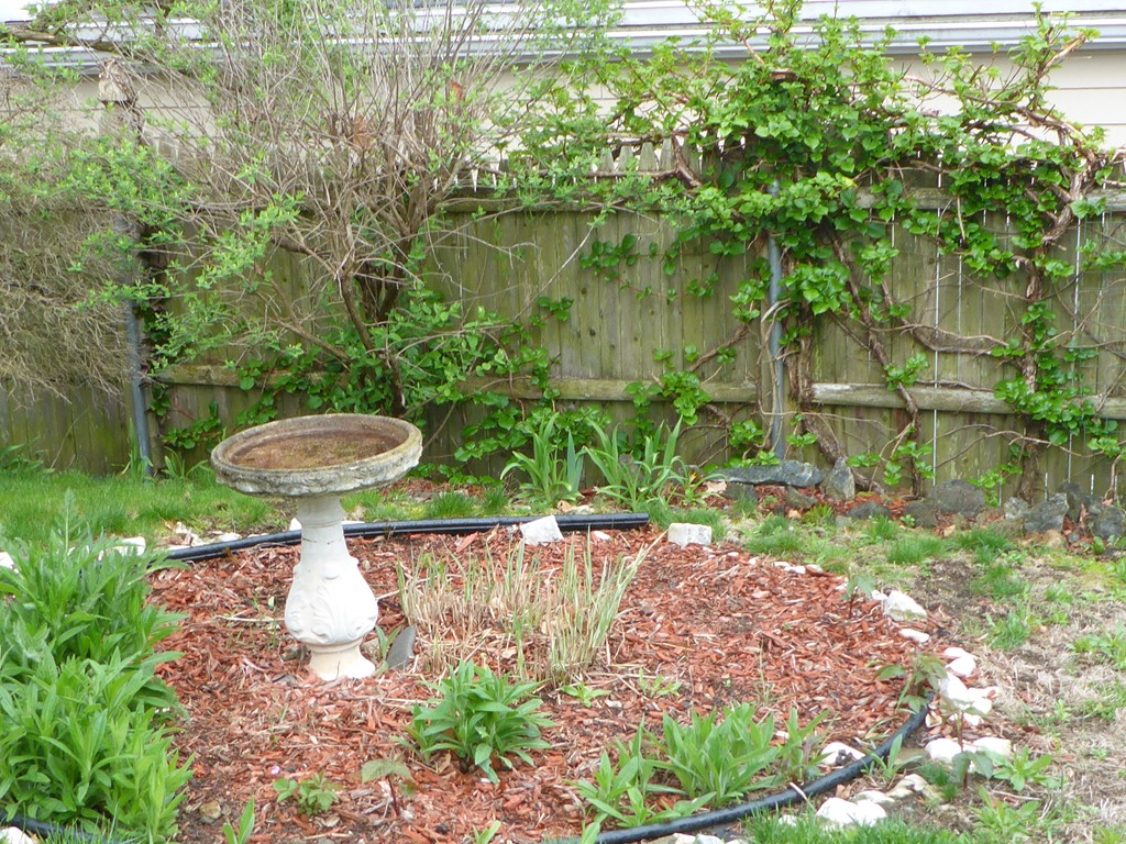 57 Millett Road Swampscott, MA 01907 - Photo 26 of 30 Gallery Image 26