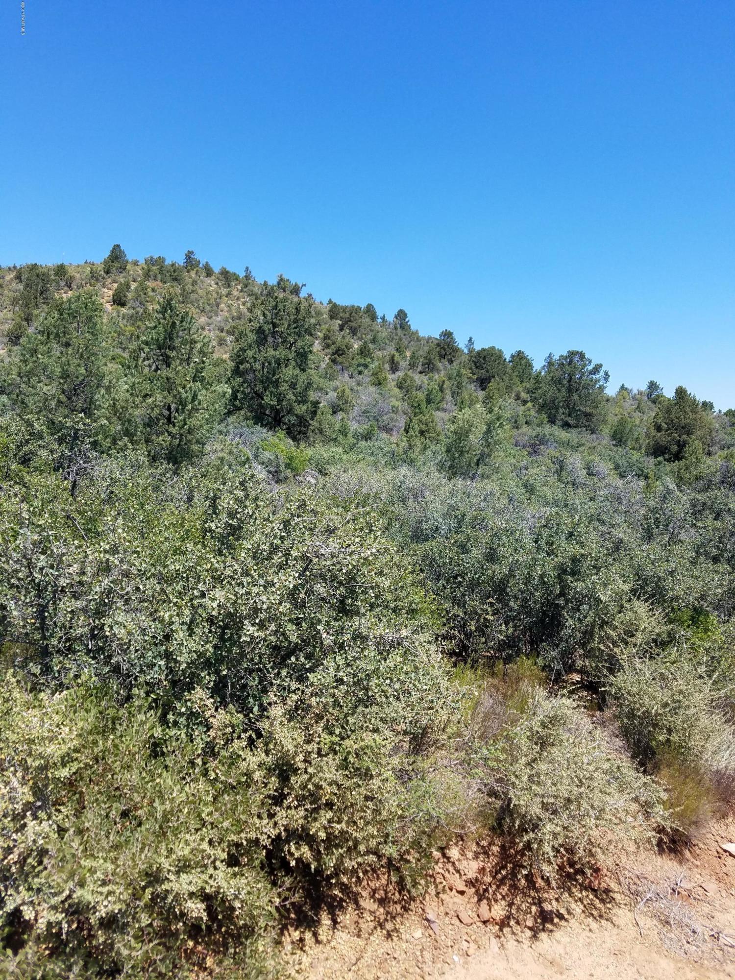 1 South Ruger Ranch@cattle Baron Peeples Valley Kirkland, AZ 86332 - Photo 4 of 7 20170617_110454