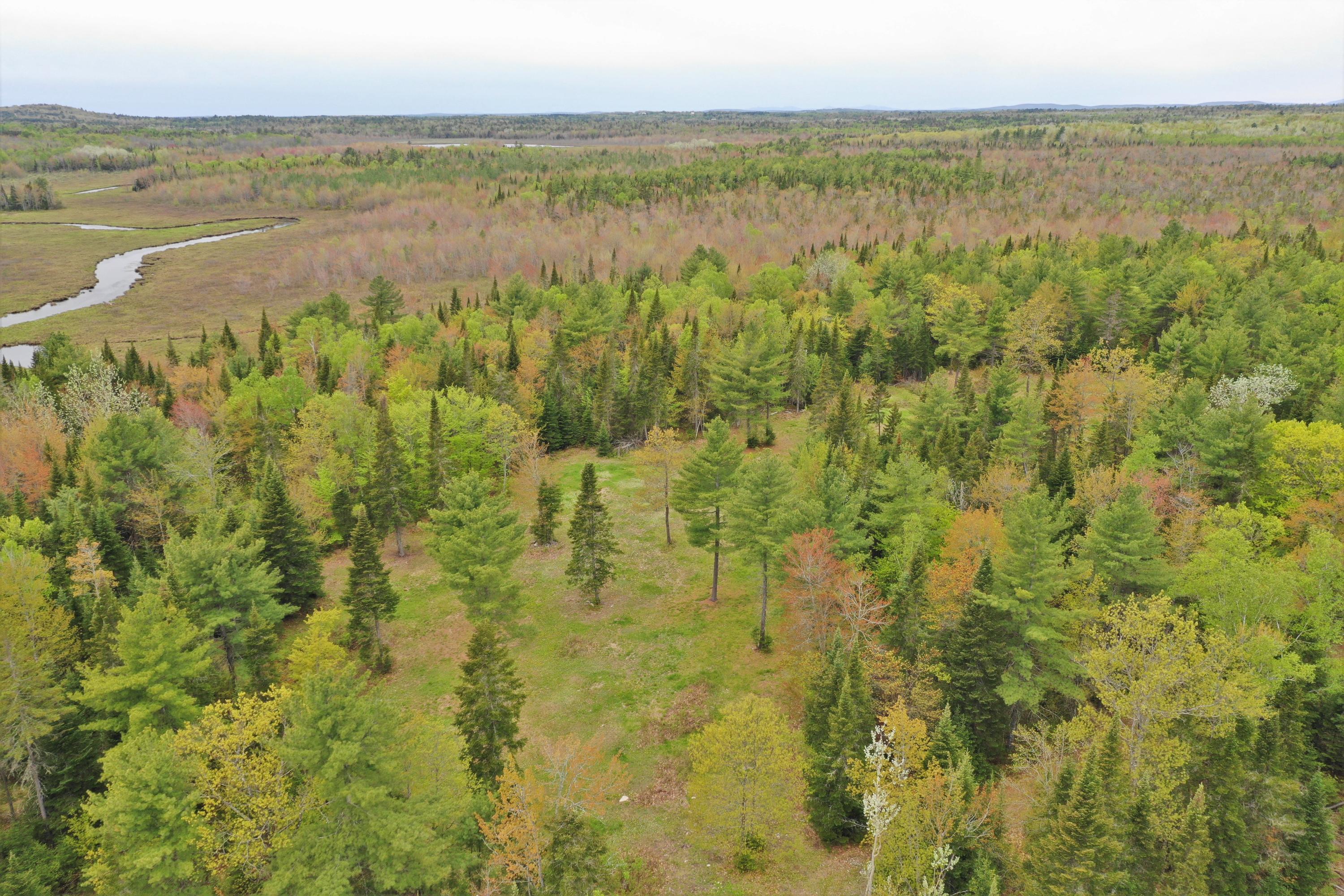 905 Lakins Road Stetson, ME 04488 - Photo 47 of 51 DJI_0406