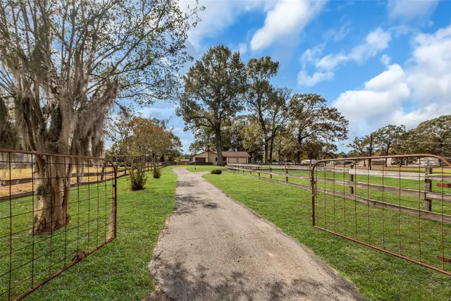a view of a park with large trees