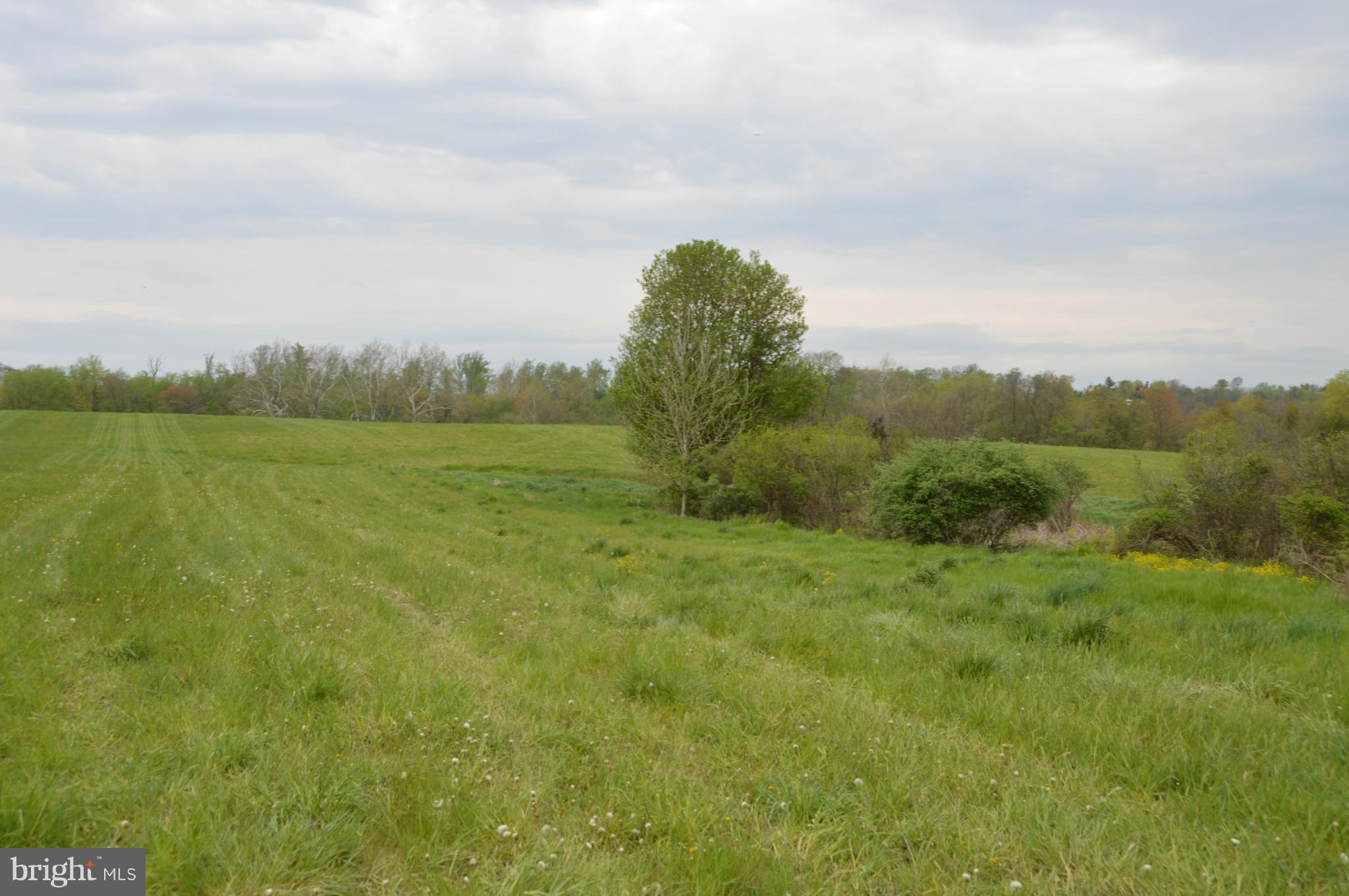 11128 Repp Road Union Bridge, MD 21791 - Photo 5 of 30 View