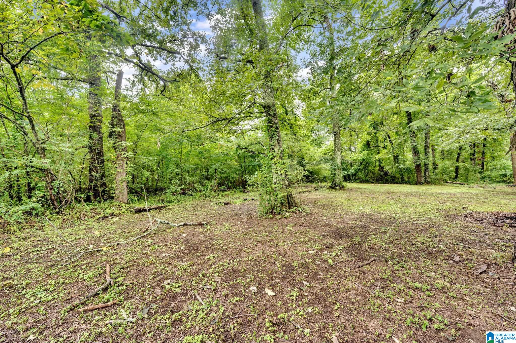 13596 Highway 11 Springville, AL 35146 - Photo 8 of 27