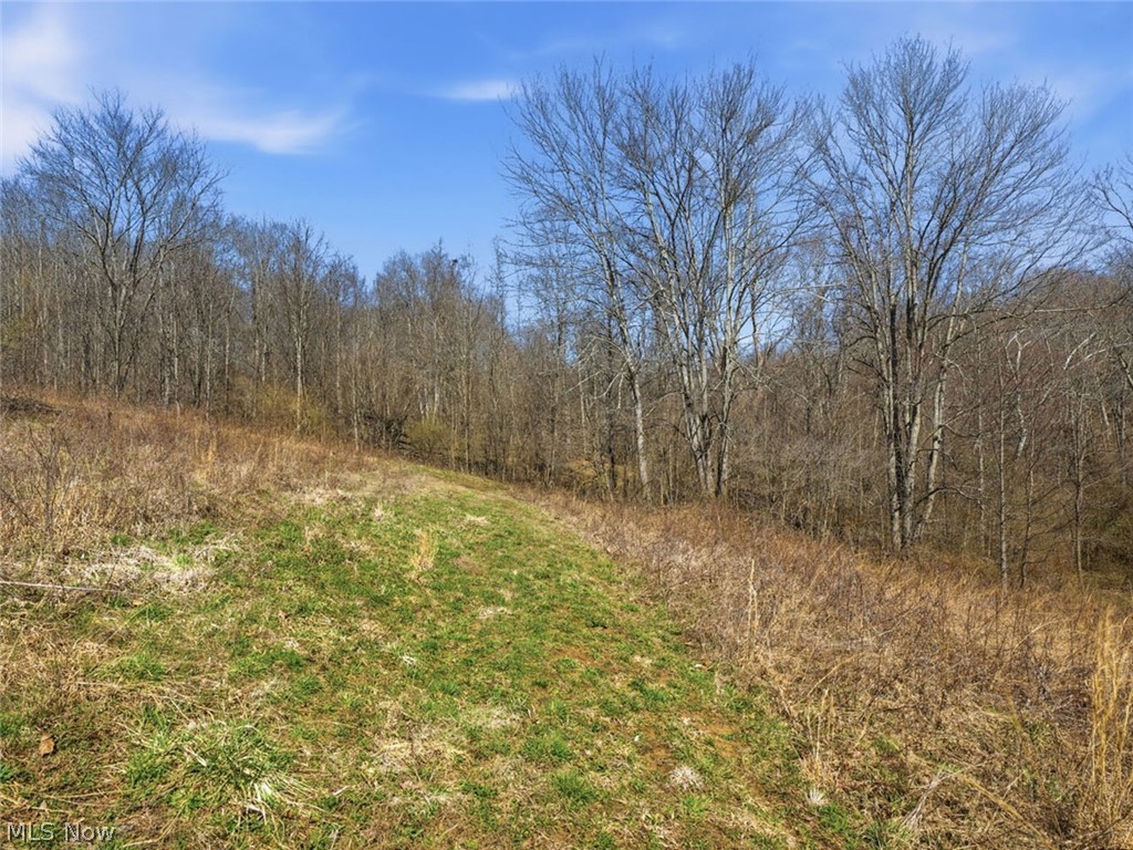 805 Daugherty Road Stockport, OH 43787 - Photo 26 of 28 Gallery Image 26