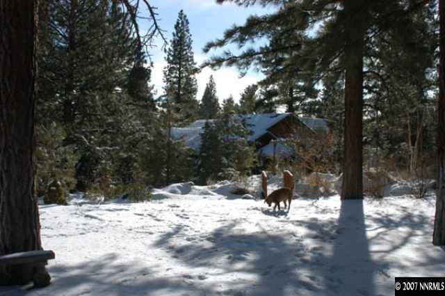 1360 Austrian Pine Road Reno, NV 89511 - Photo 6 of 7 Photo 6