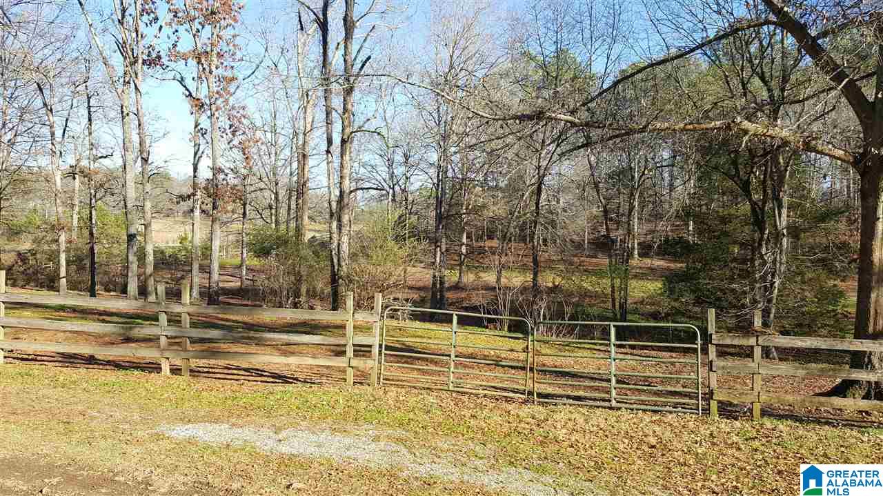 460 County Road 42 Calera, AL 35040 - Photo 10 of 12