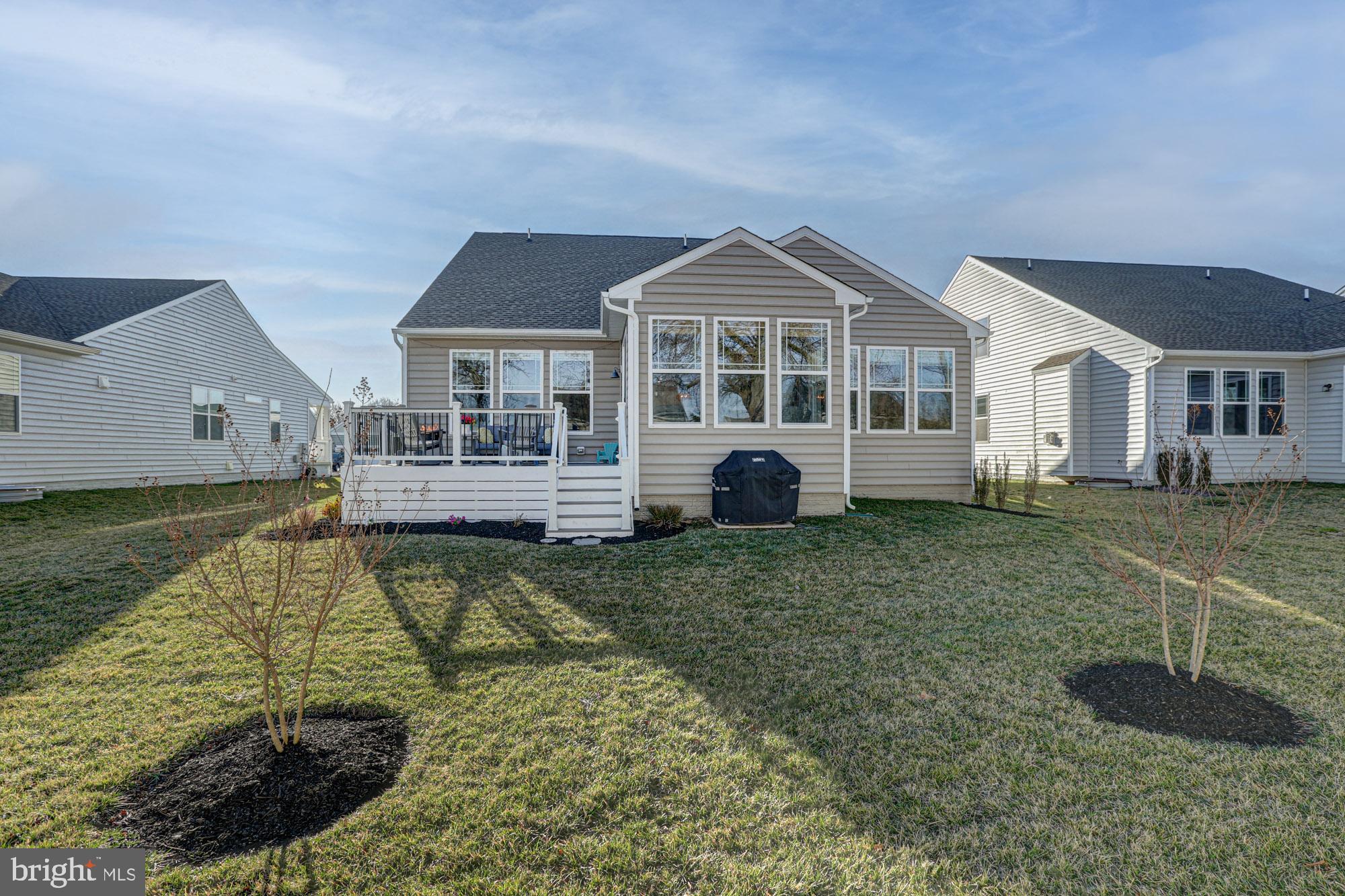507 Cherry Bark Road Middletown, DE 19709 - Photo 71 of 81 expansive private backyard