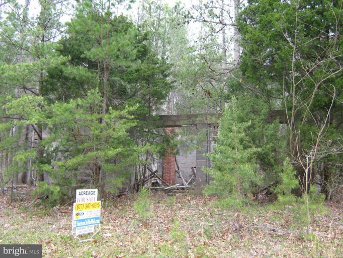 a backyard of a house with lots of green space and trees
