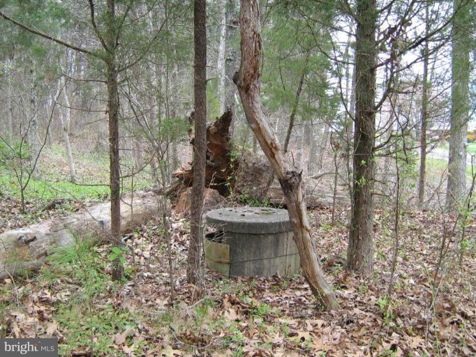 Lignum Lignum, VA 22726 - Photo 2 of 15 a view of a garden with large trees