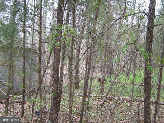 Lignum Lignum, VA 22726 - Photo 12 of 15