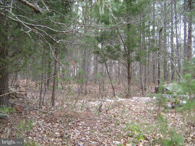 Lignum Lignum, VA 22726 - Photo 13 of 15