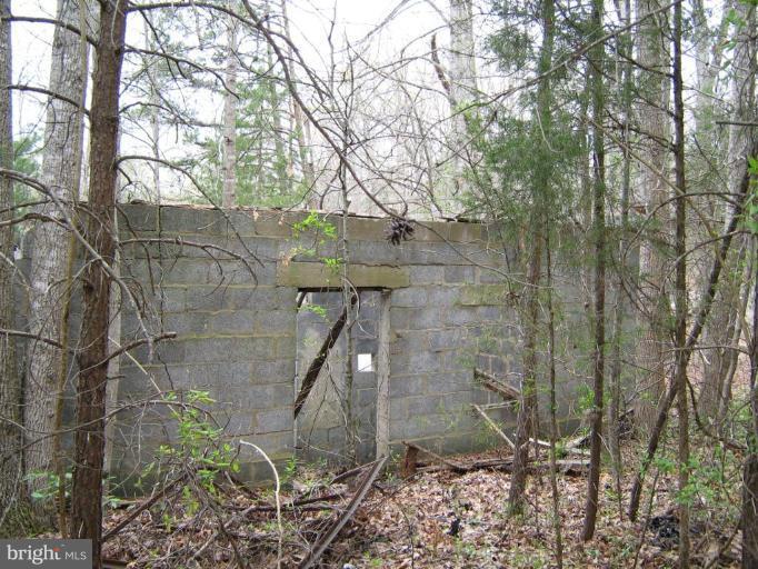 Lignum Lignum, VA 22726 - Photo 4 of 15 a view of a pathway of a house