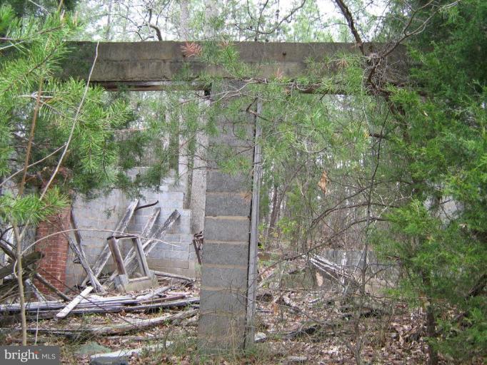 Lignum Lignum, VA 22726 - Photo 5 of 15 a view of outdoor space