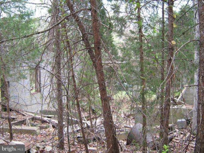 Lignum Lignum, VA 22726 - Photo 6 of 15 a view of tree