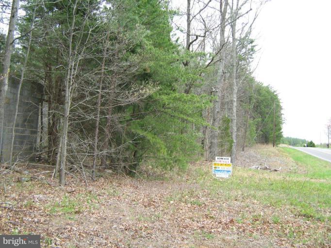 Lignum Lignum, VA 22726 - Photo 7 of 15 a view of a forest with a trees
