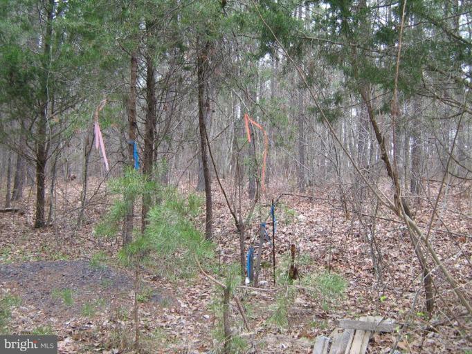 Lignum Lignum, VA 22726 - Photo 10 of 15 a backyard of a house with lots of green space
