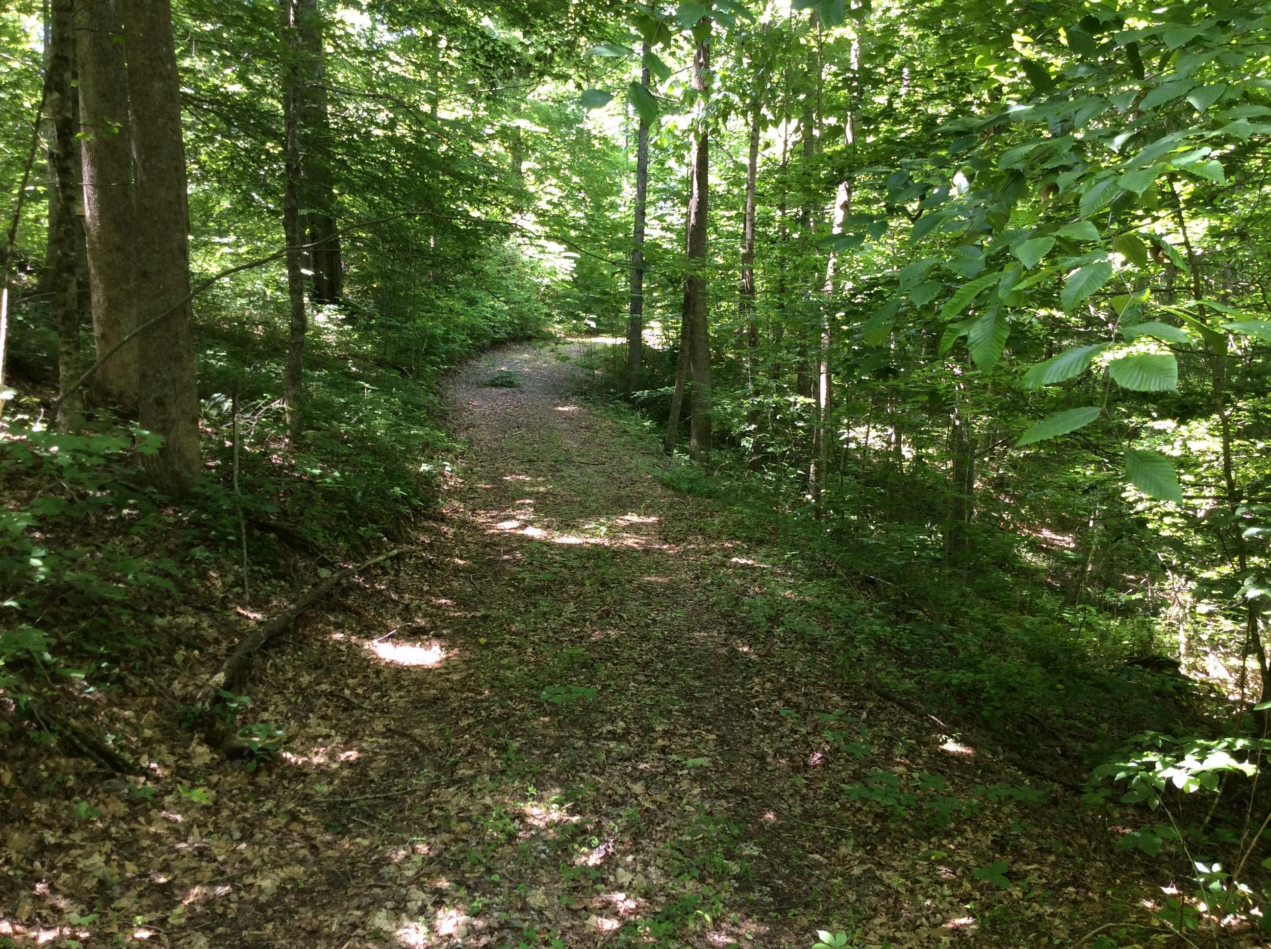 268 Warren Road Science Hill, KY 42553 - Photo 9 of 26 Main pic