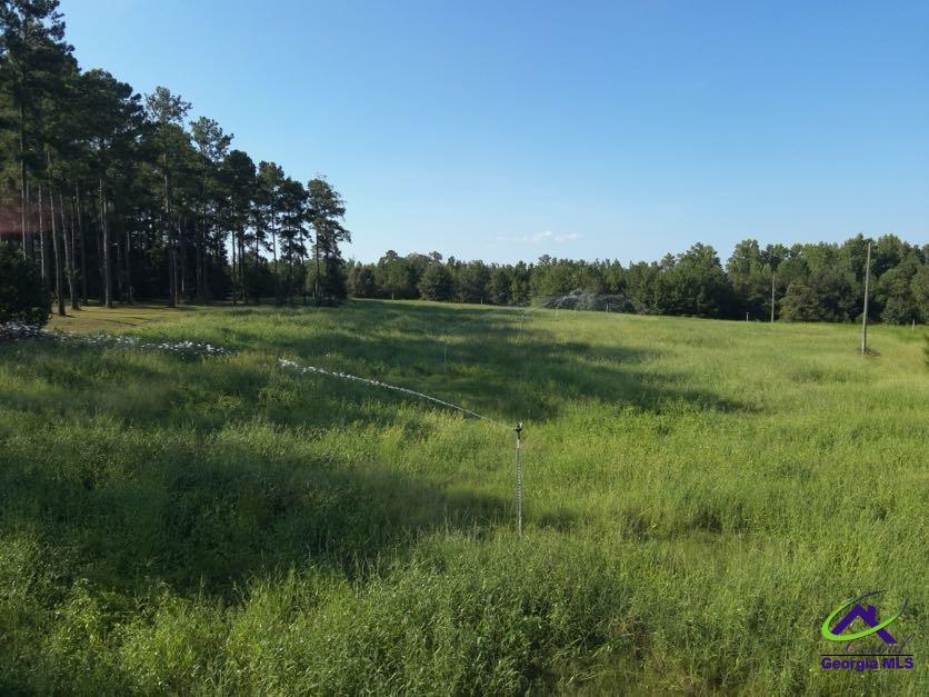 150 Friendship Church Road Pineview, GA 31071 - Photo 25 of 26 Gallery Image 25