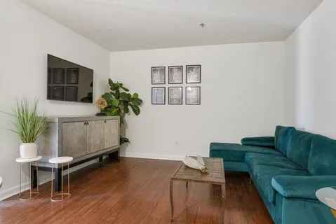 a living room with furniture and a potted plant