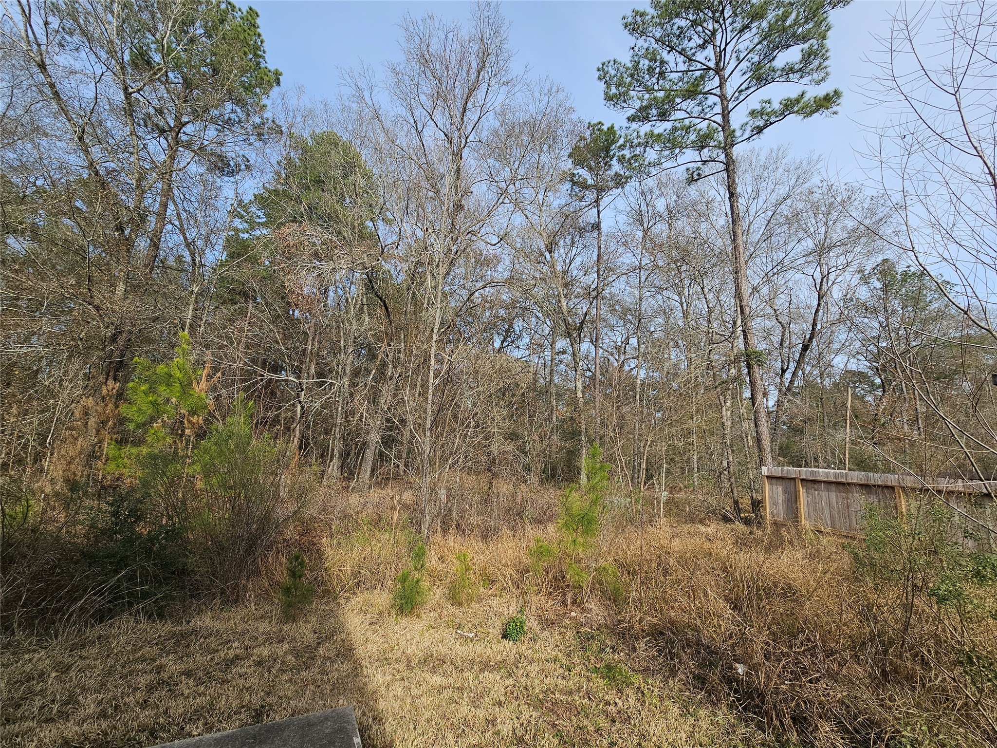 0 Roman Forest Boulevard New Caney, TX 77357 - Photo 3 of 11 a view of a yard