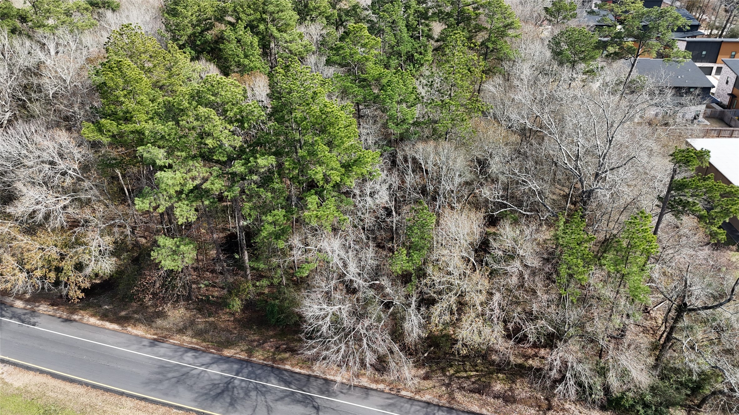 0 Roman Forest Boulevard New Caney, TX 77357 - Photo 6 of 11 a view of a garden with a tree