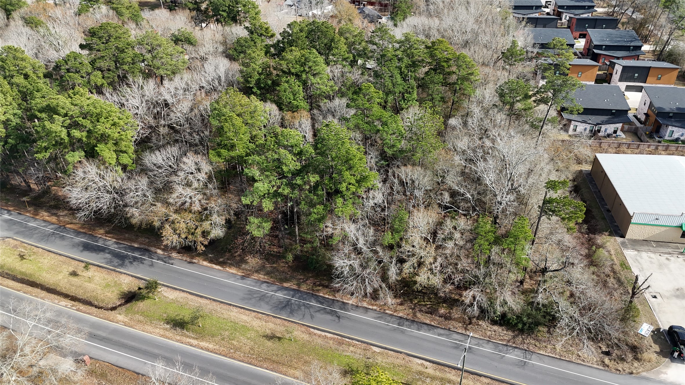 0 Roman Forest Boulevard New Caney, TX 77357 - Photo 7 of 11 a view of a yard with potted plants