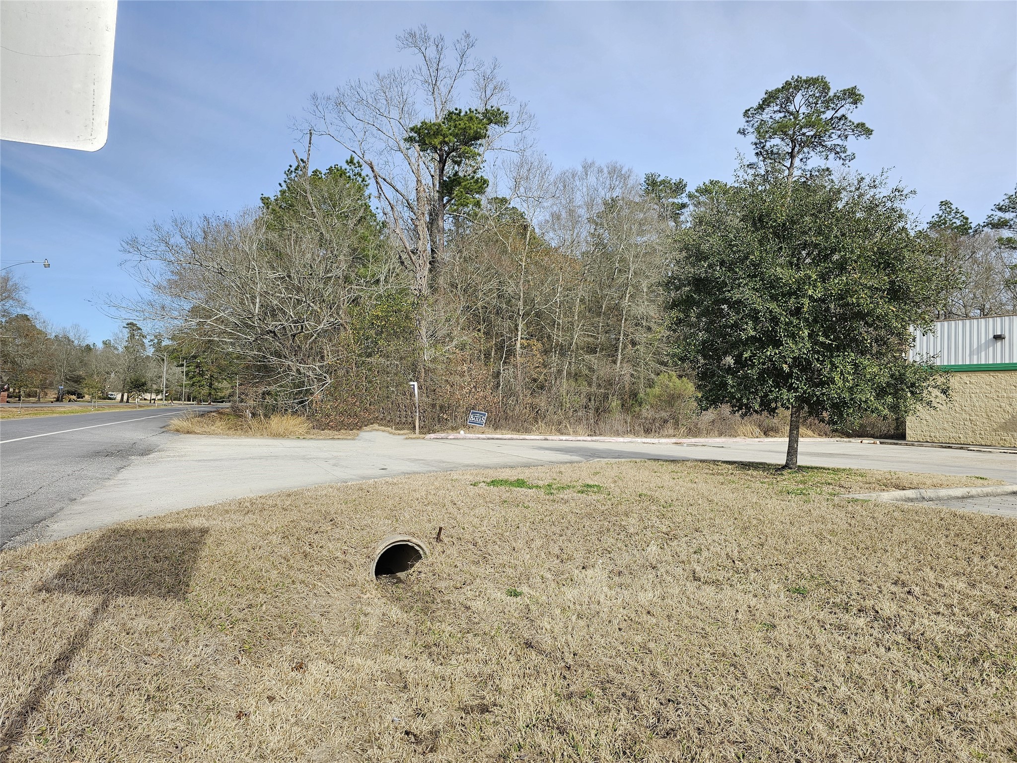 0 Roman Forest Boulevard New Caney, TX 77357 - Photo 10 of 11 a view of a yard with trees