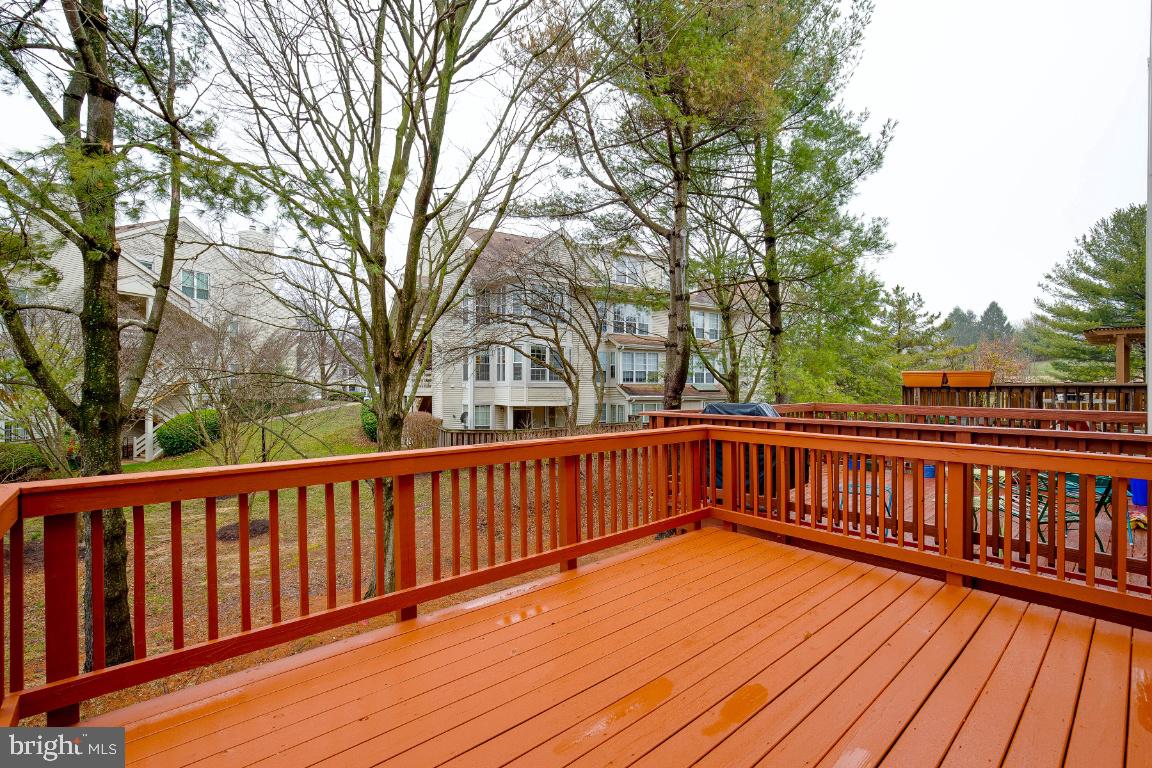 6523 Cypress Point Road Alexandria, VA 22312 - Photo 15 of 34