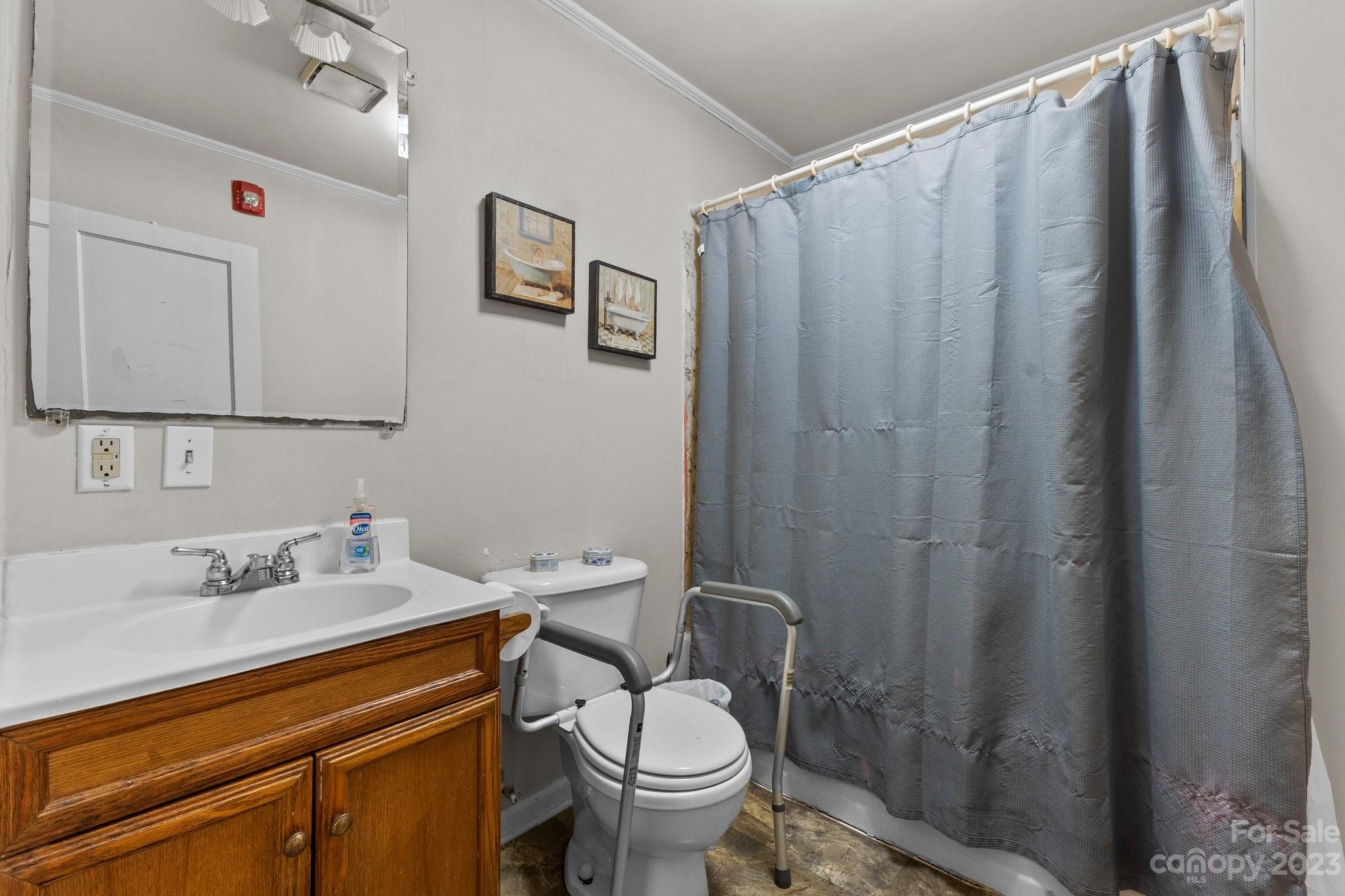 602 Aileen Avenue Biscoe, NC 27209 - Photo 9 of 27 a bathroom with a sink a toilet and shower curtain