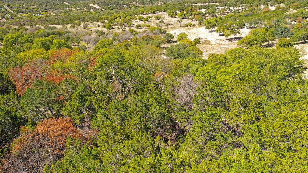 506 Sumack, Unit 11 Kerrville, TX 78028 - Photo 12 of 12 a view of a yard