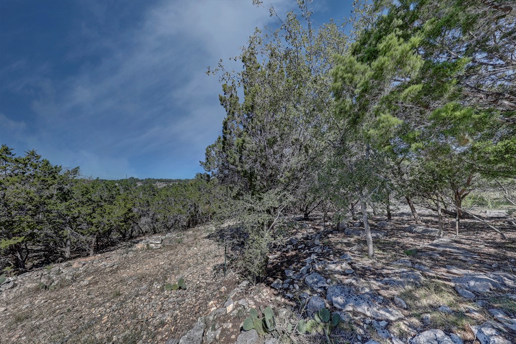 506 Sumack, Unit 11 Kerrville, TX 78028 - Photo 5 of 12 a view of a field with plants and trees