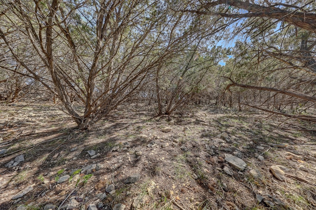 506 Sumack, Unit 11 Kerrville, TX 78028 - Photo 6 of 12 a view of empty yard