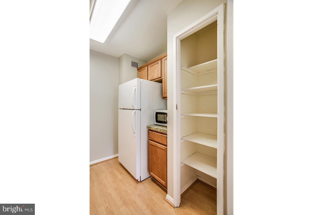 1900 Lyttonsville Road, Unit 610 Silver Spring, MD 20910 - Photo 8 of 22 Pantry