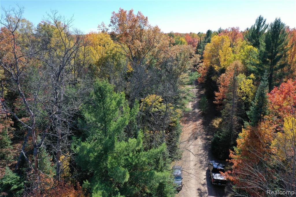 0 Woodbridge Road St. Helen, MI 48656 - Photo 14 of 16