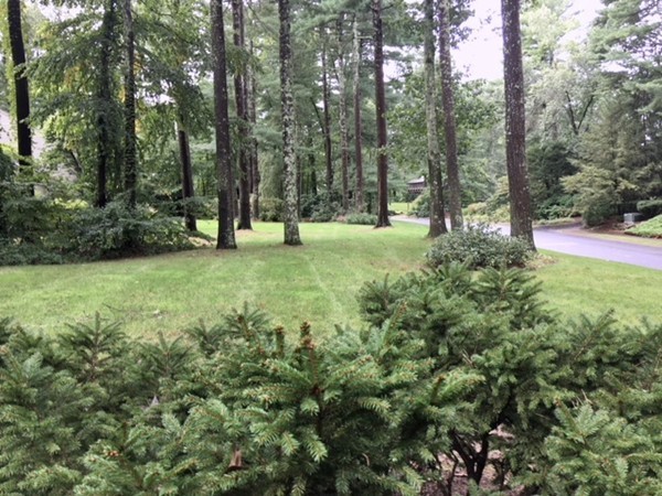 42 Phillips Road Sudbury, MA 01776 - Photo 2 of 28 a view of a field with trees in the background