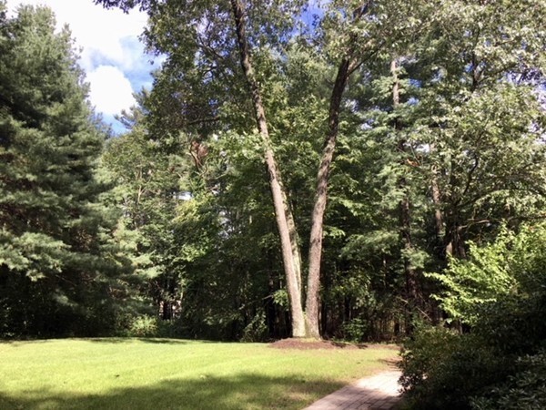 42 Phillips Road Sudbury, MA 01776 - Photo 26 of 28 a view of outdoor space with mountain view
