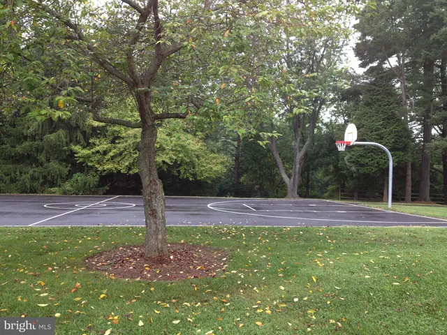 a view of yard with trees