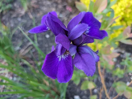 $407,300 | 2227 Dale View Drive, Antioch, TN 37013