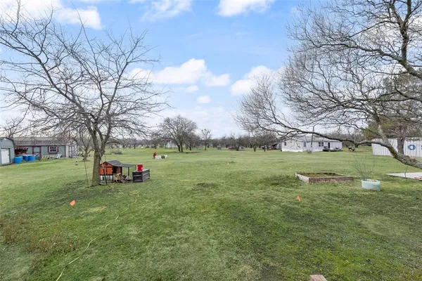 a view of a field with large trees