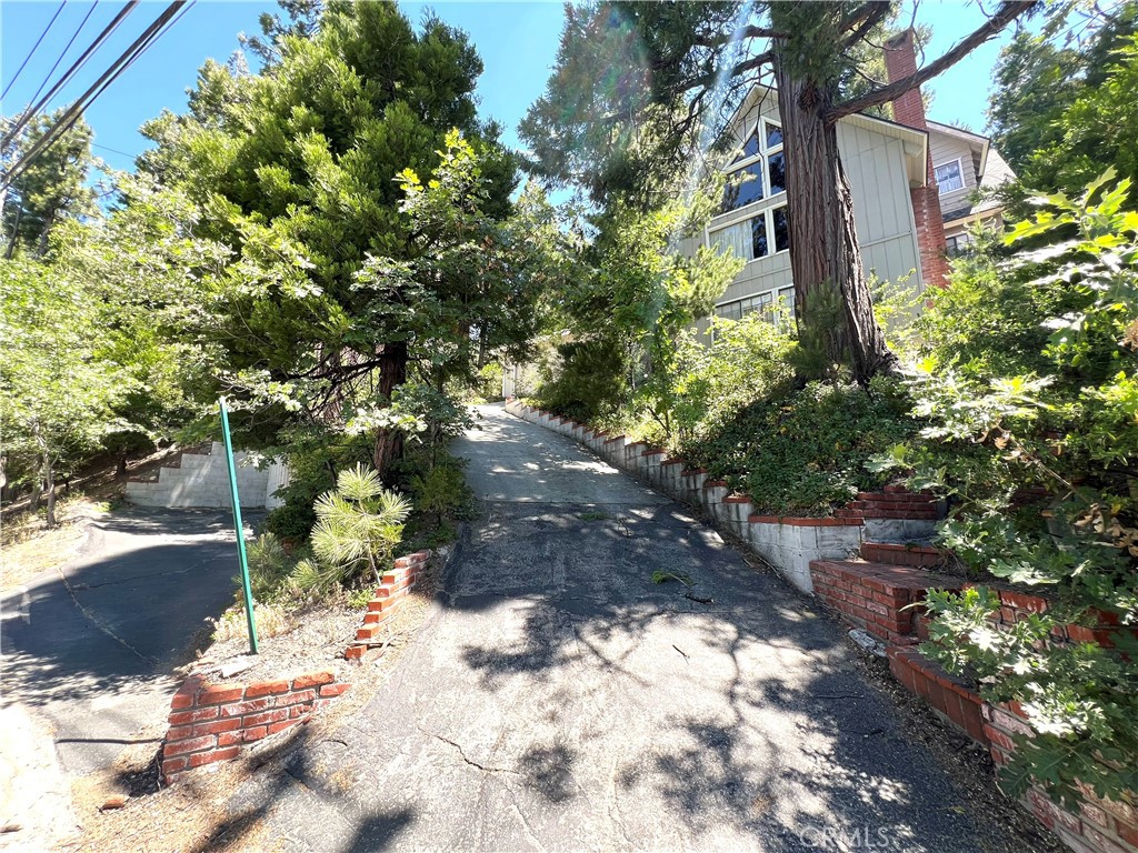 329 Grass Valley Road Lake Arrowhead, CA 92352 - Photo 29 of 31 a view of a yard with plants and large trees