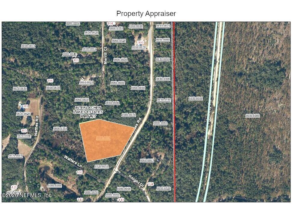 0 Nettles Road Florahome, FL 32140 - Photo 2 of 3 a view of a forest