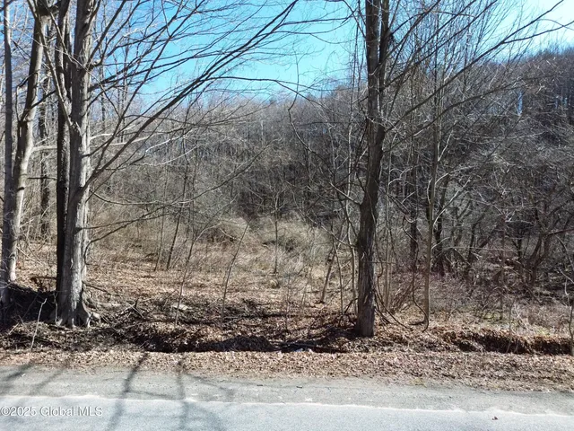 $234,500 | L22 Ryan Road, Greenwich, NY 12834