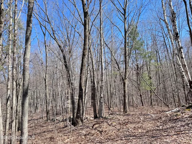 $234,500 | L22 Ryan Road, Greenwich, NY 12834