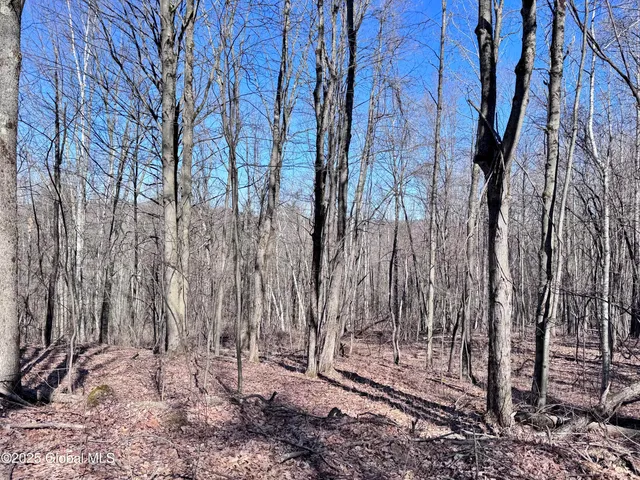 $234,500 | L22 Ryan Road, Greenwich, NY 12834