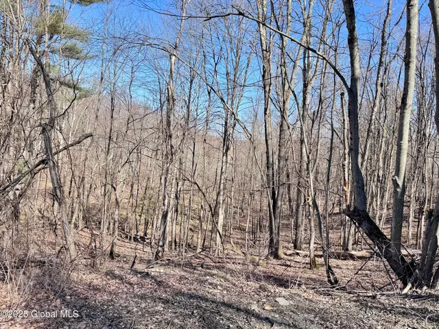 $234,500 | L22 Ryan Road, Greenwich, NY 12834