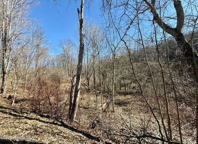 $234,500 | L22 Ryan Road, Greenwich, NY 12834