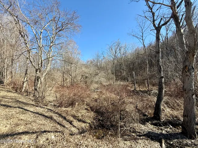 $234,500 | L22 Ryan Road, Greenwich, NY 12834